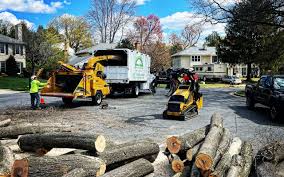 Leaf Removal in Rockmart, GA